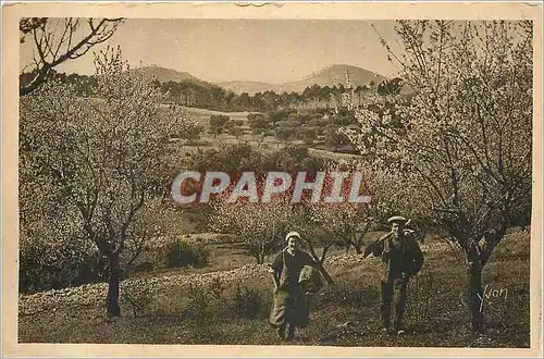 Ansichtskarte AK Printemps la Douce France Cote d'Azur Folklore