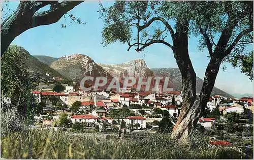 Cartes postales moderne Vence la Jolie Vue Generale la Cote d'Azur