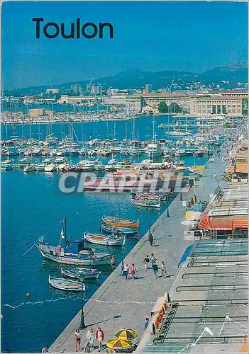 Moderne Karte Toulon le Quai de la Sinse au Soleil de la Cote d'Azur