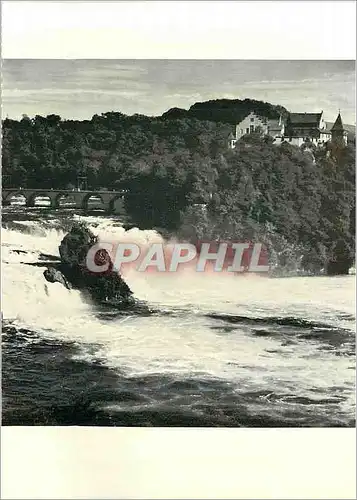 Moderne Karte Neuhausen Schweiz Rheinfall