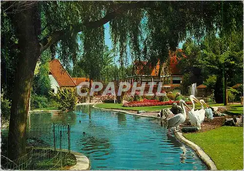 Cartes postales moderne Meli Park Adinkerke de Panne Residence des Pelicans