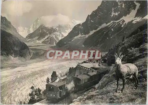 Cartes postales moderne Chamonix Mont Blanc La Mer de Glace Train Chamois