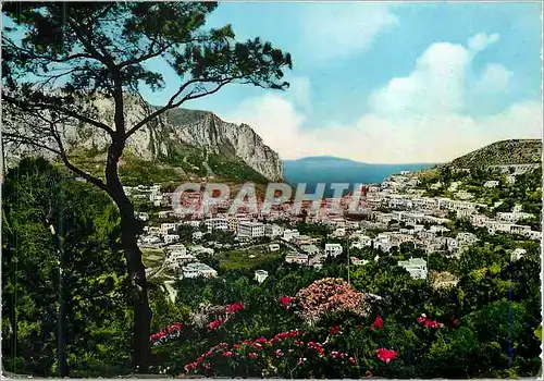 Cartes postales moderne Capri Vue Generale