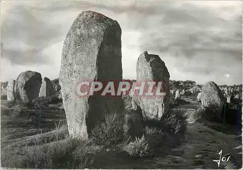 Cartes postales moderne Carnac (Morbihan) Les Alignements du Menec l'Un des Plus Beaux Ensembles Megalithiques