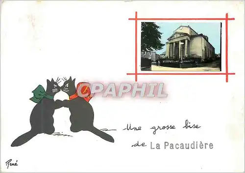 Cartes postales moderne La Pacaudiere Chats