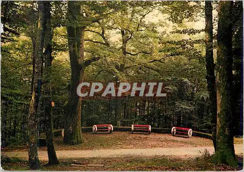 Cartes postales moderne Bains les Bains Terrasse du Vieux Chene