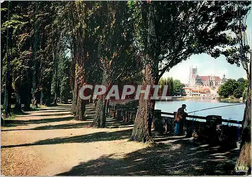 Cartes postales moderne Meaux (Seine et Marne) Promenade des Trinitaires (Creee en 1860) le Long de la Marne Peche