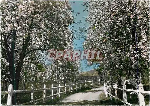 Cartes postales moderne Clecy (Orne) En Normandie Entree de l'Hotellerie (Moulin du Vey)