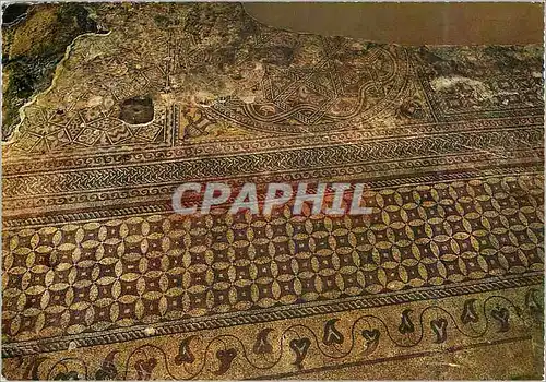 Cartes postales moderne Roumanie Constatza La Mosaique Antique Romaine