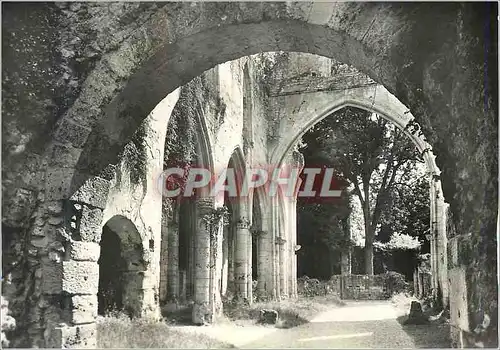 Cartes postales moderne Jumieges (S Mme) Ruines de l'Abbaye Eglise Saint Pierre (Xe XIVe S) Nef Vue de L'Ouest