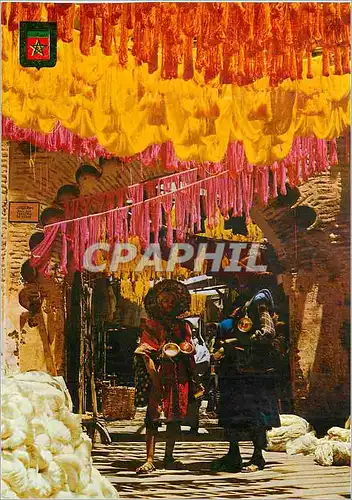 Cartes postales moderne Maroc Typique Porteurs d'Eau dans une Rue de Teinturiers
