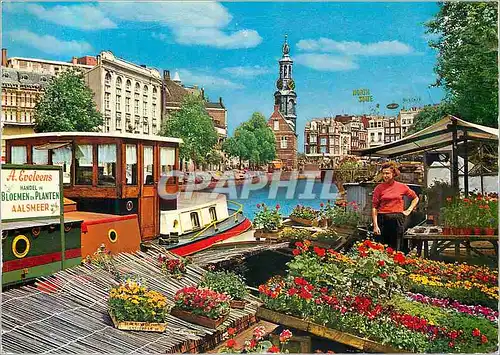 Cartes postales moderne Amsterdam Marche des Fleurs Singel