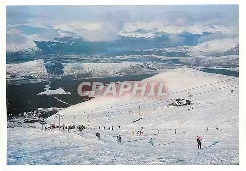 Cartes postales moderne Snowgoose Aonach Mor