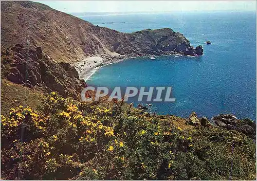 Cartes postales La Hague Pittoresque (Manche) Les Falaises de Jobourg