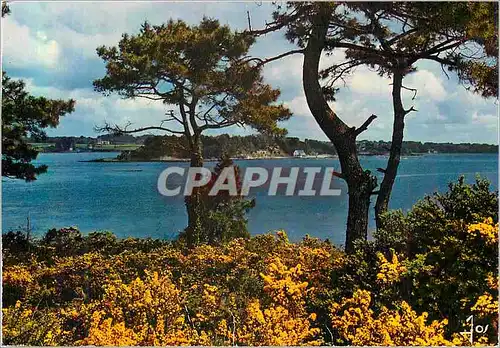 Cartes postales moderne L'Ile aux Moines (Morbihan) La Bretagne en Couleurs Vue Generale sur le Golfe