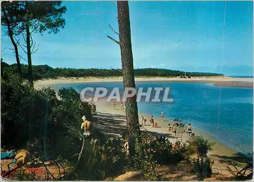 Cartes postales moderne Ronce Les Bains La Pointe Espagnole La Baie du Galon d'Or