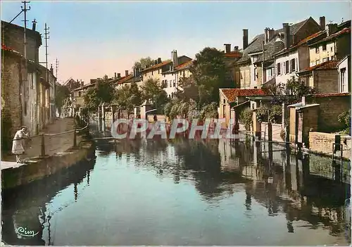 Cartes postales moderne Joinville (Haute Marne) En Flanant sur les Bords de la Marne