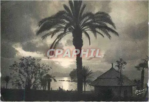 Cartes postales moderne Cannes La Cote d'Azur Coucher de Soleil sur l'Esterel