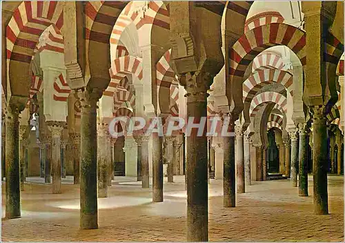 Cartes postales moderne Cordoba La Cathedrale Vue Interieure de la Mosquee