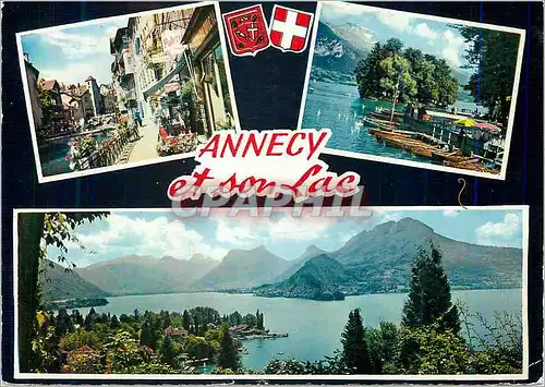 Cartes postales moderne Annecy et Son Lac Les Quais du Thiou L'Ile des Cygnes et la Tournette Enneigee (2357 m)