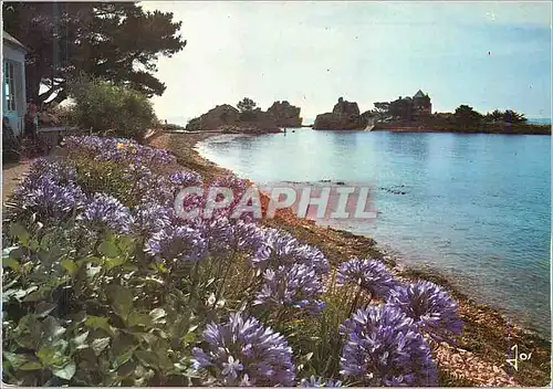 Cartes postales moderne Ile de Brehat La Bretagne en Couleurs La Plage de Guerzido