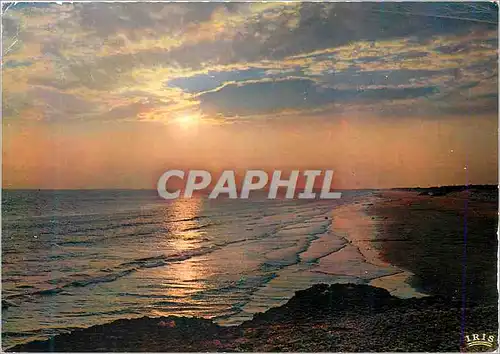 Cartes postales moderne Cote Atlantique Le Soleil d'Ou pendaient des Rayons Magnifiques