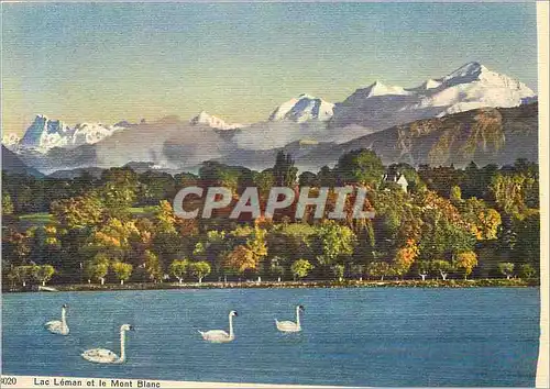 Moderne Karte Lac Leman et le Mont Blanc