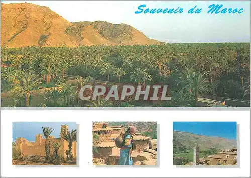 Moderne Karte Souvenir de Maroc La Vallee du Draa Sa Palmeraie Ses Kasbahs