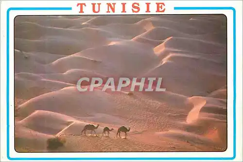 Moderne Karte Tunisie Les Dunes du Sahara sud Tunisien