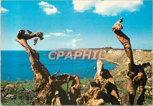 Cartes postales moderne Milazzo (Sicilia) Capo Milazzo