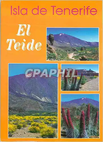 Cartes postales moderne Isla de Tenerife El Teide