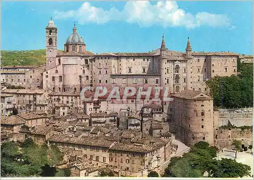 Cartes postales moderne Urbino Palais Ducal et Panorama