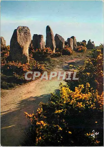Cartes postales moderne Carnac Les Alignements de Kermario