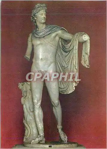 Cartes postales moderne Vaticano COrtile Ottagono Arte Greco Romana Apollon du Belvedere