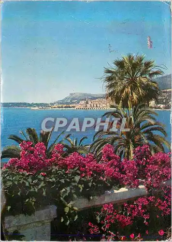 Cartes postales moderne Les Sites Merveilleux de la Cote d'Azur Menton (A M) Vue Generale sur Menton prise de Garavan