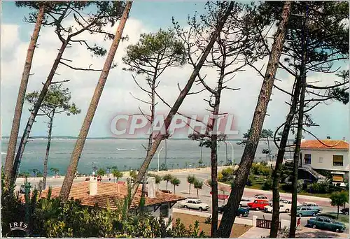 Cartes postales moderne Arcachon Parc et Plage Pereire
