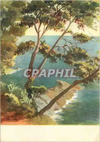Cartes postales moderne Firenze F Fasolis Riviera Ligure