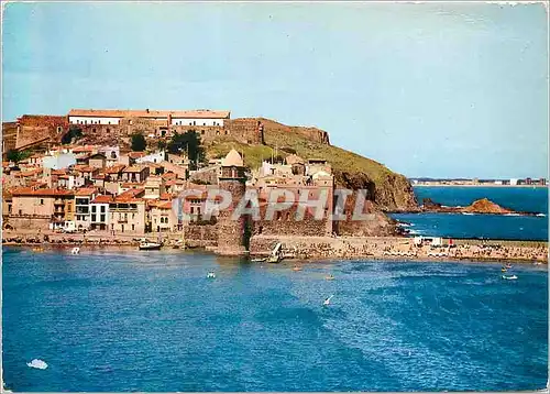 Cartes postales moderne Collioure (Pyrenees Orientales) Vue d'Ensemble au Ier Plan L'Eglise Fortifiee