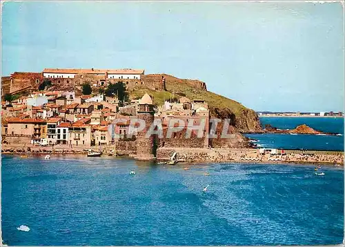 Moderne Karte Collioure (Pyrenees Orientales) Vue d'Ensemble au Ier Plan L'Eglise Fortifiee