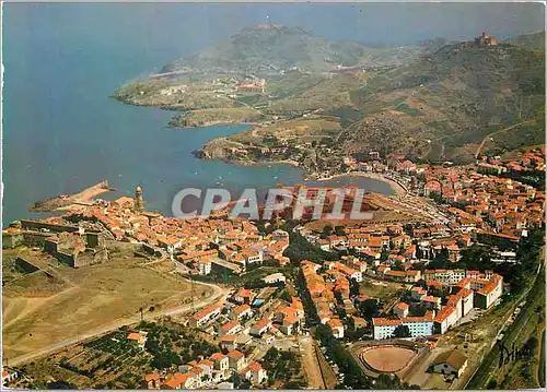 Moderne Karte Collioure (P O) Lumiere et Couleurs de la Cote Vermeille Pittoresque et Celebre Port Catalan