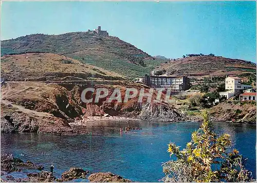 Cartes postales moderne Cote Vermeille Collioure Le Centre Helio Marin