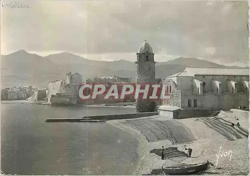 Cartes postales moderne Collioure (P O) Plage Saint Vincent