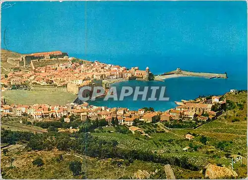 Cartes postales moderne Collioure (P O) Couleurs et Lumiere de France Vue Generale