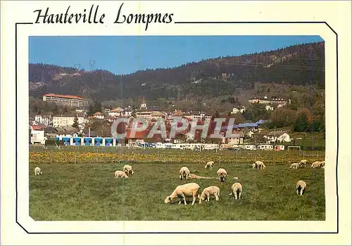 Cartes postales moderne Hautevilles Lompnes (Ain) Altitude (835 m)