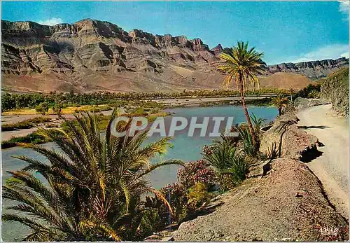 Cartes postales moderne Region de Ouarzazate Sud Marocain La Vallee et l'Oued Draa