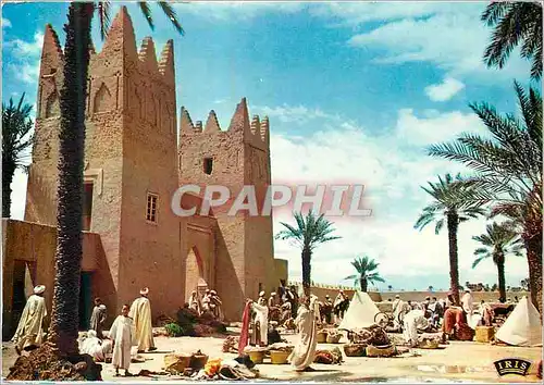 Cartes postales moderne Tinjdat Market Sud Marocain