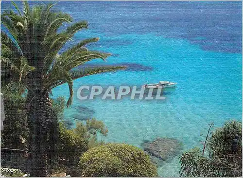 Cartes postales moderne Rivages Pittoresques de la Mediterranee Lumiere et Beaute de la Cote d'Azur