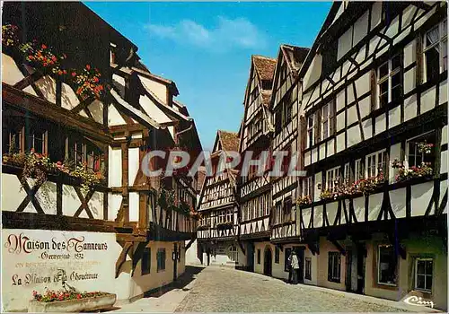 Cartes postales moderne Strasbourg (Bas Rhin) La Rue du Bain aux Plantes La Petite France La Maison des Tanneurs