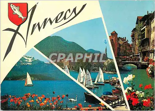 Cartes postales moderne Annecy (Hte Savoie) Le Lac et La Tournette Basilique de la Visitation Le Thiou