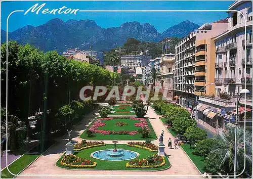 Cartes postales moderne La Cote d'Azur Menton Les Jardins Biovese
